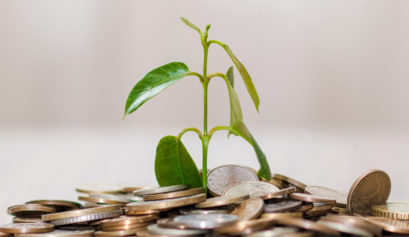 la-pengene-vokse-gronne-etiske-investeringer